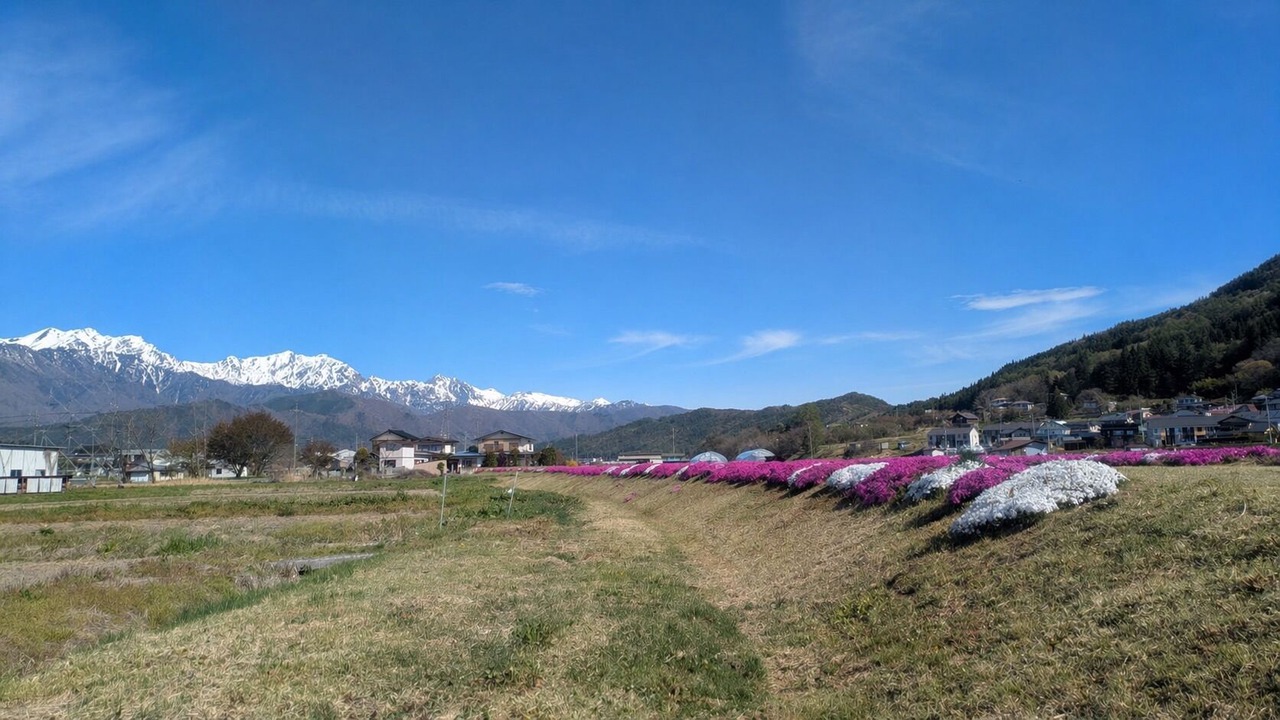 Photo of Others in Omachi