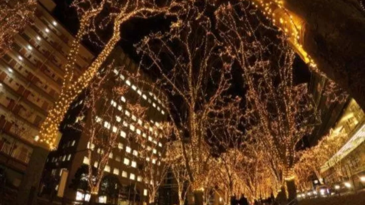 Photo of Outdoor in Kokubuncho