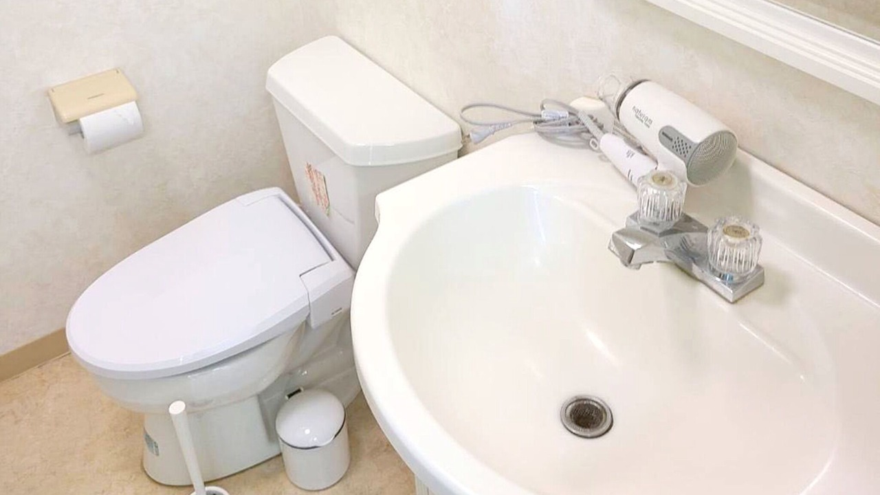 Photo of Bathroom in Fujikawaguchiko