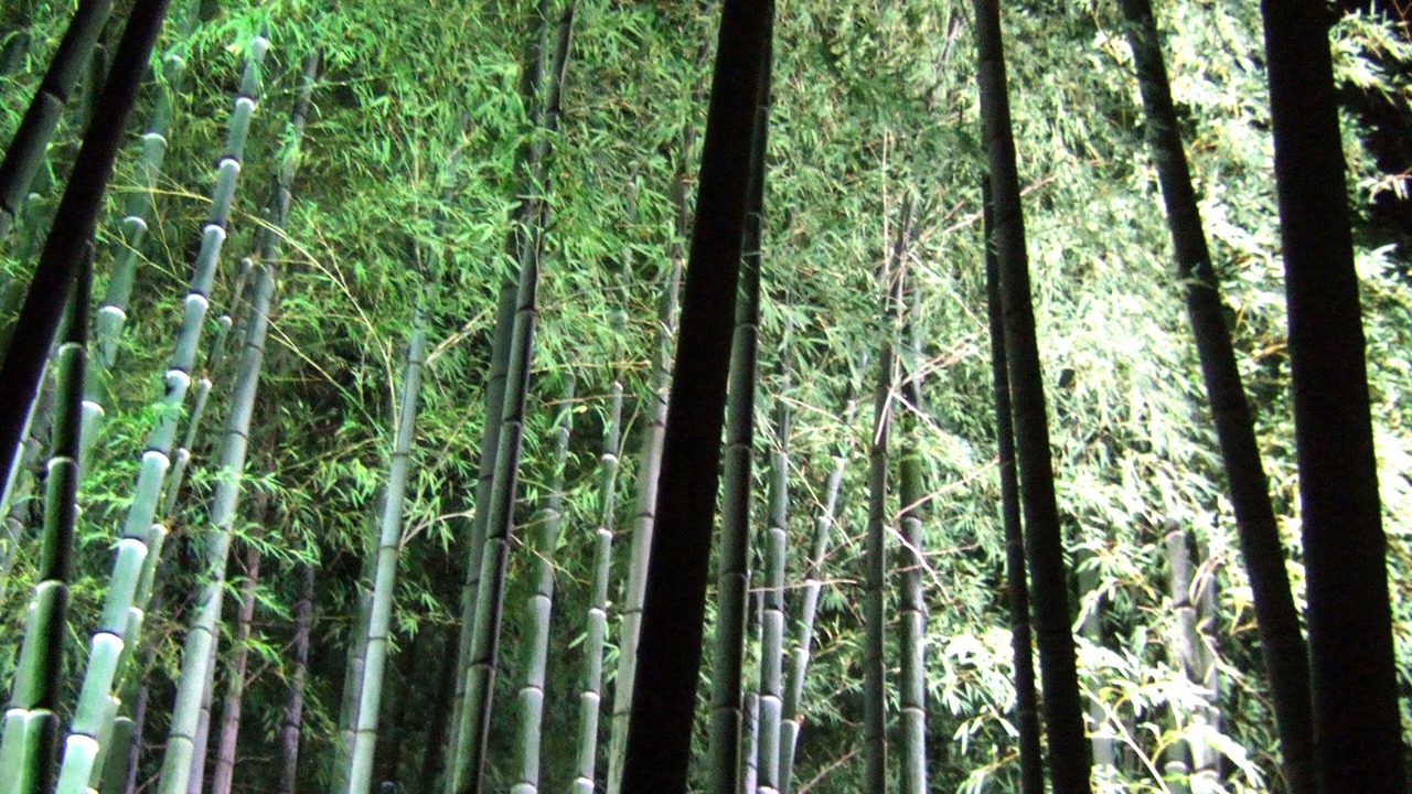 Photo of Others in Gion