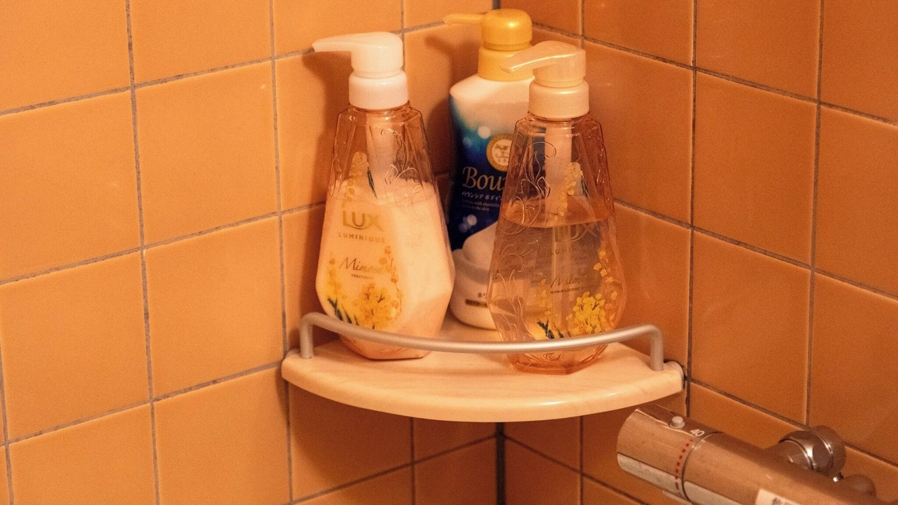 Photo of Bathroom in Nasu