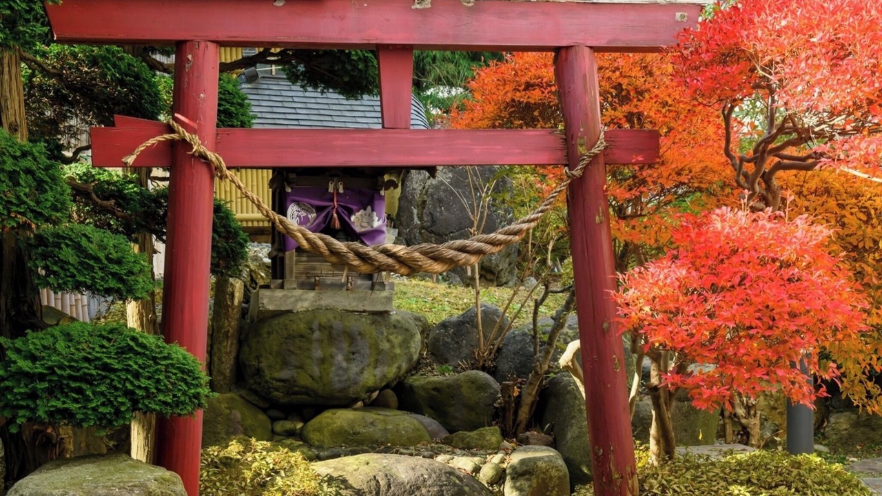 Photo of Others in Sagae
