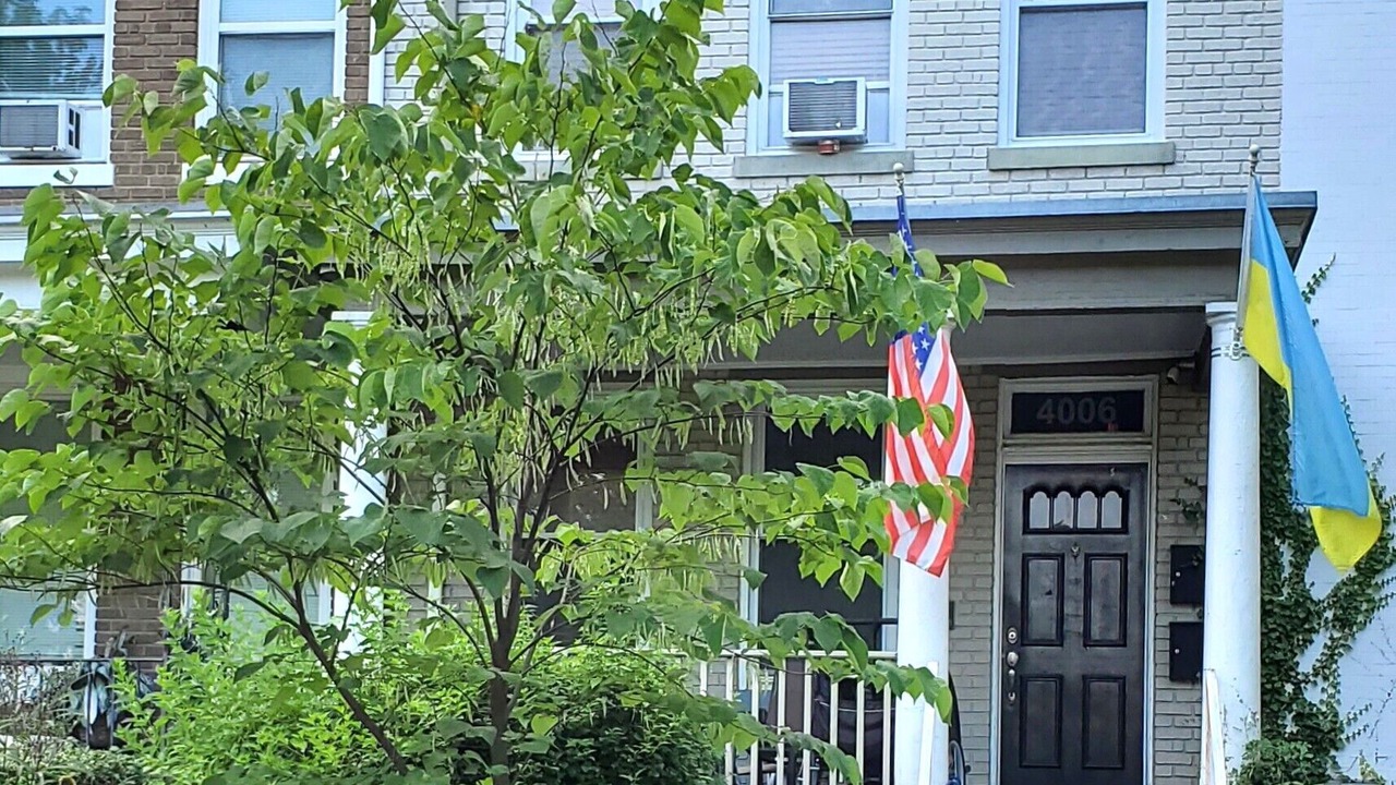 Photo of Outdoor in Petworth