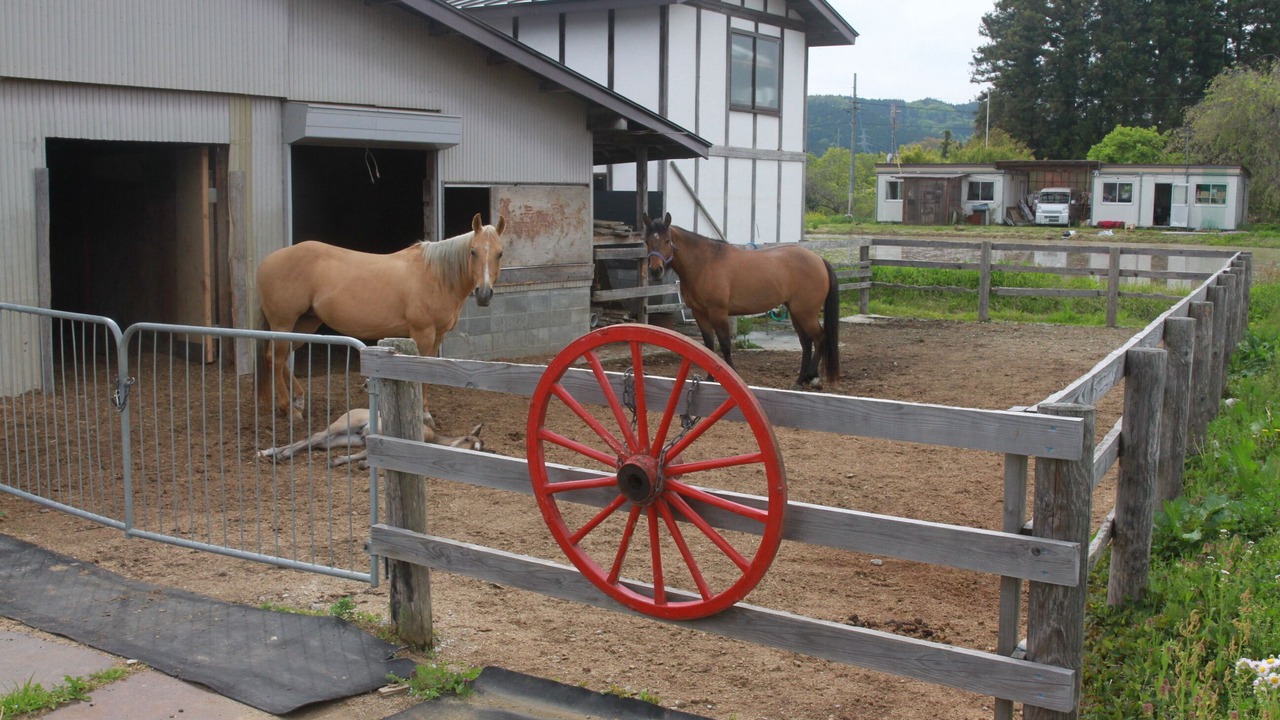 Photo of Others in Oshu