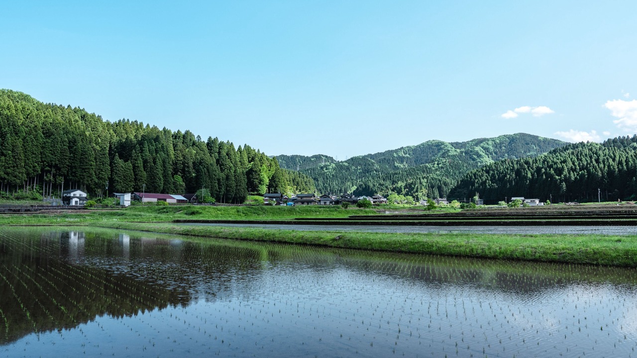 Photo of Others in Fukui
