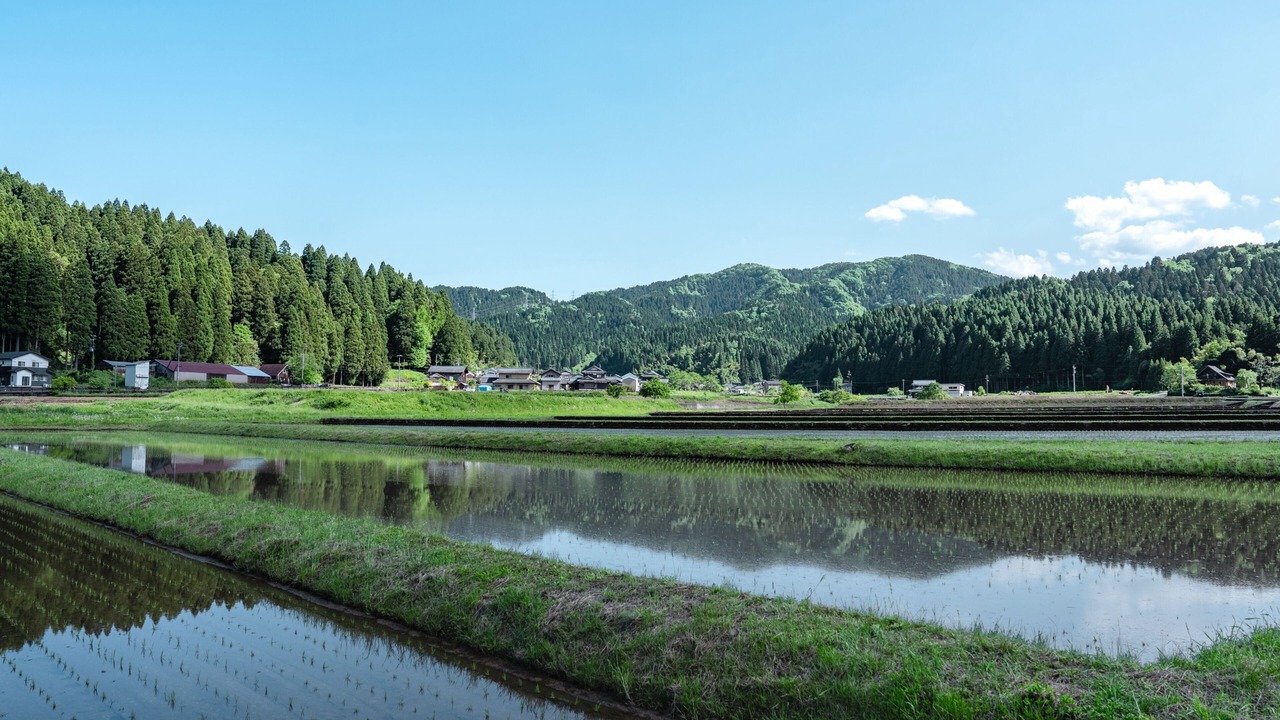 Photo of Others in Fukui