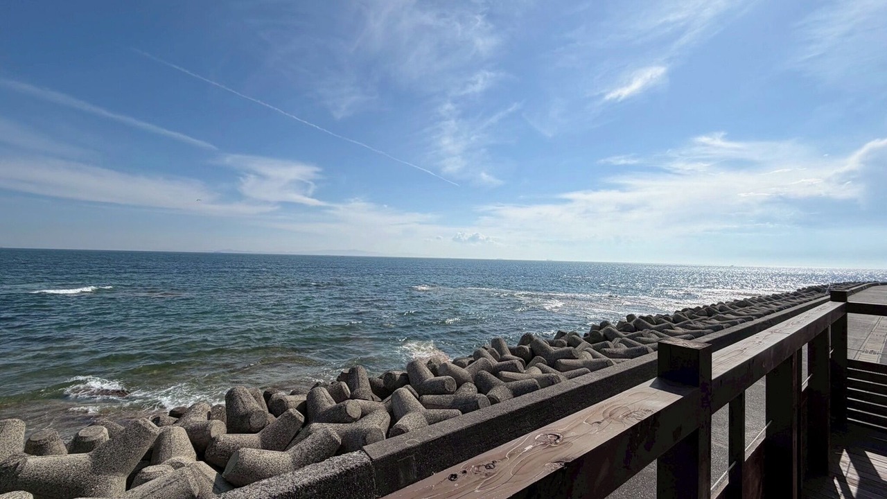 Photo of Others in Minamichita