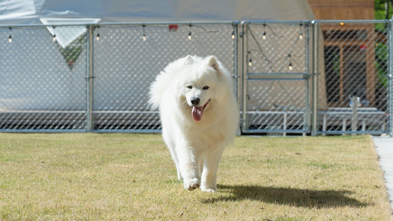 Photo of Outdoor in Tenei-mura
