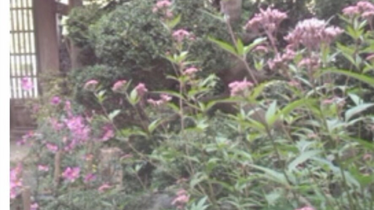 Photo of Outdoor in Otsuki