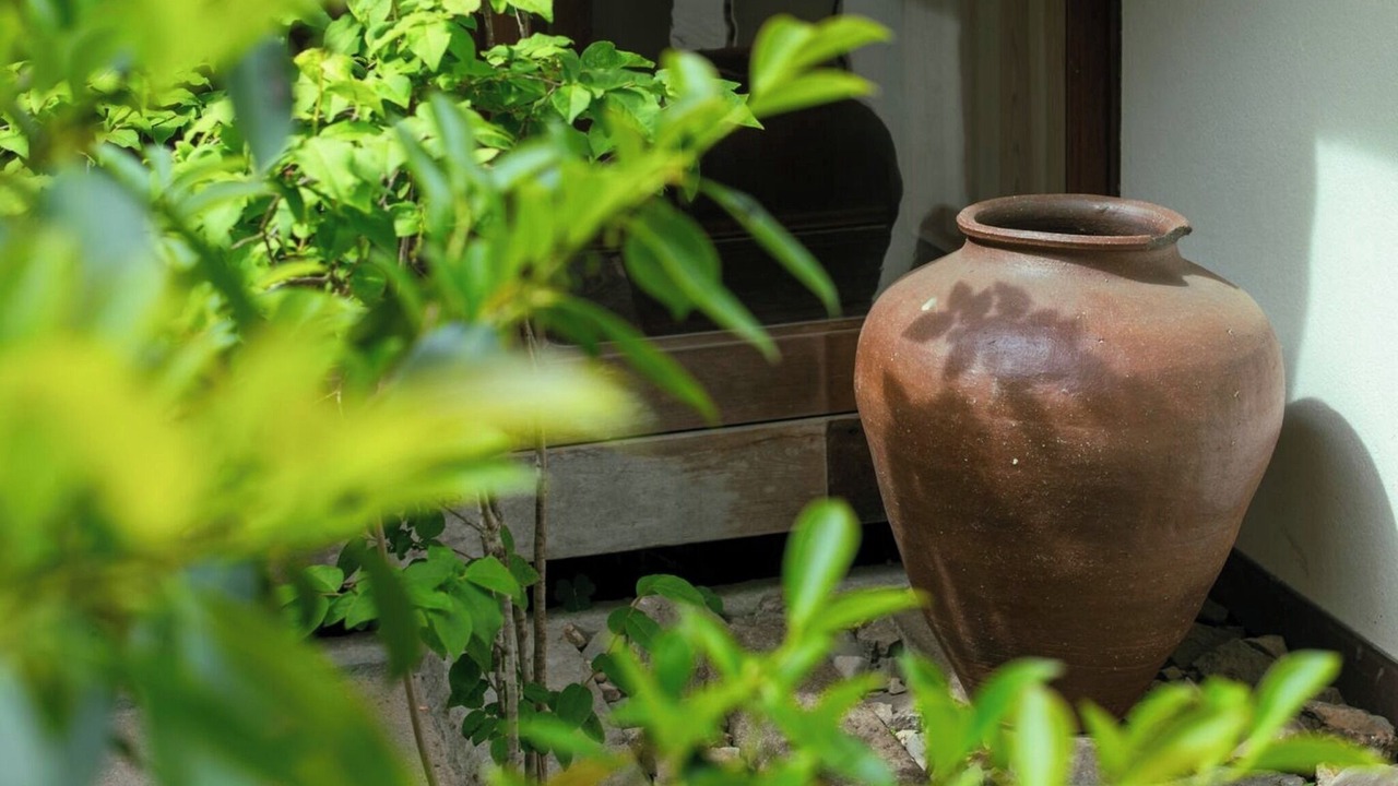 Photo of Outdoor in Sasayama