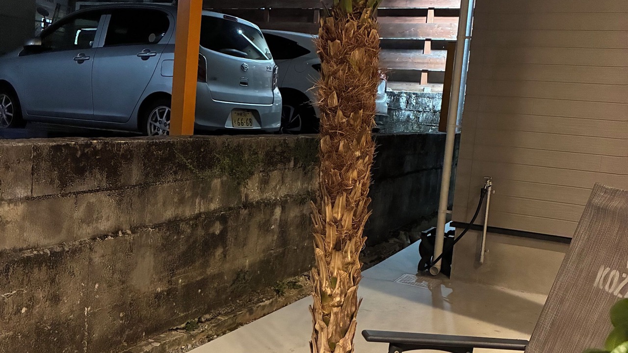 Photo of Patio Balcony in Kadena-cho