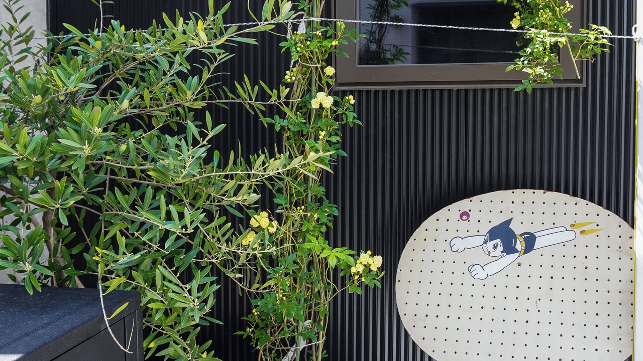 Photo of Outdoor in Kamiikebukuro