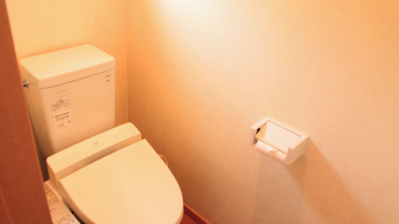 Photo of Bathroom in Yamanakako