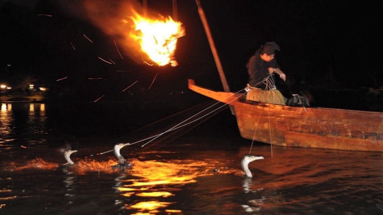 Photo of Outdoor in Arashiyama