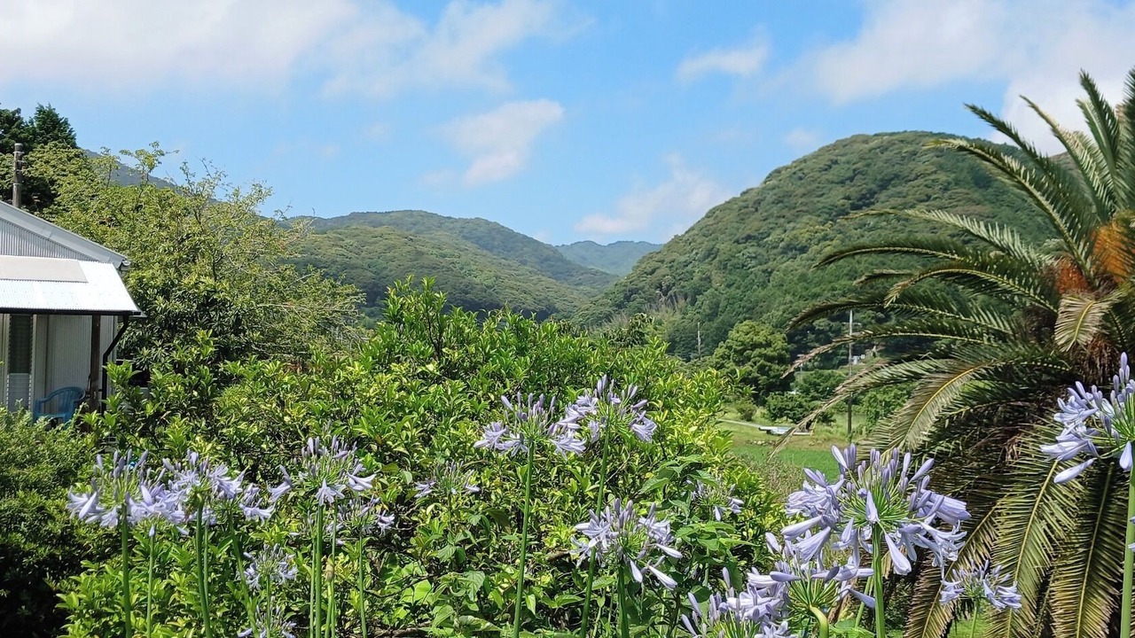 Photo of Outdoor in Minamiizu