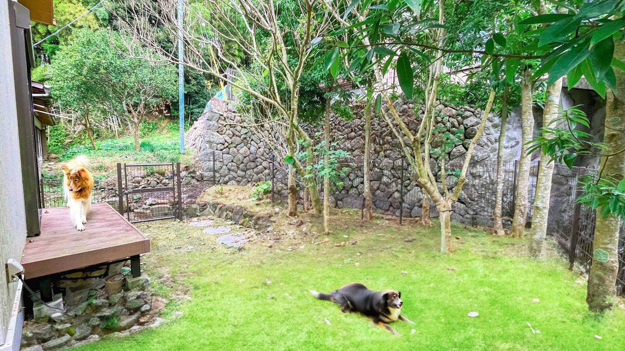 Photo of Outdoor in Kawazu