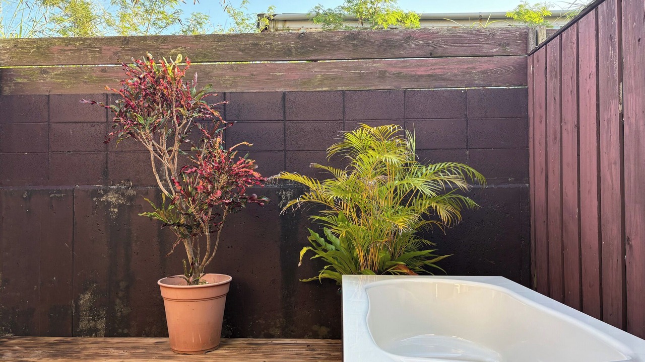Photo of Outdoor in Taketomi-jima Taketomi-cho