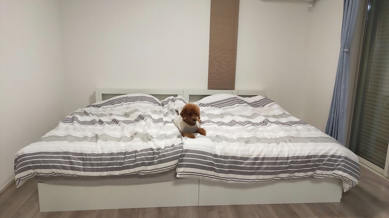 Photo of Bedroom in Sanmu