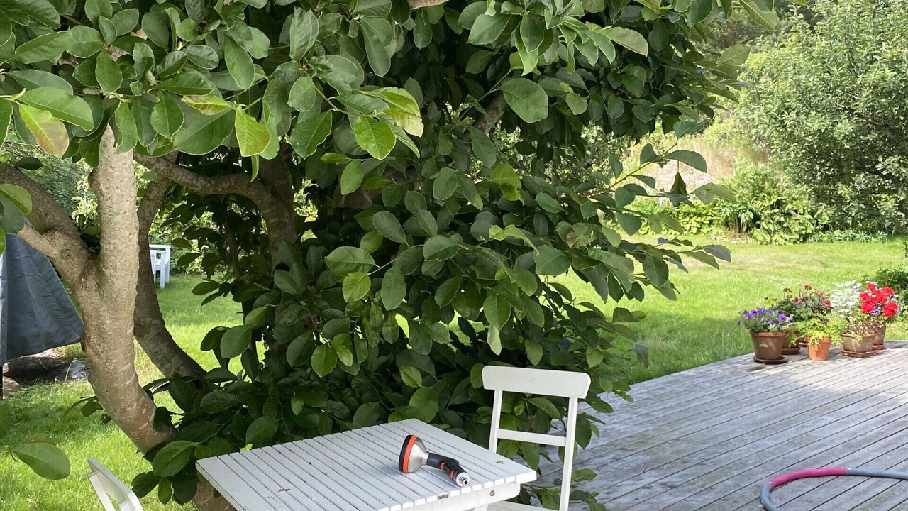 Photo of Outdoor in Vastra Frolunda