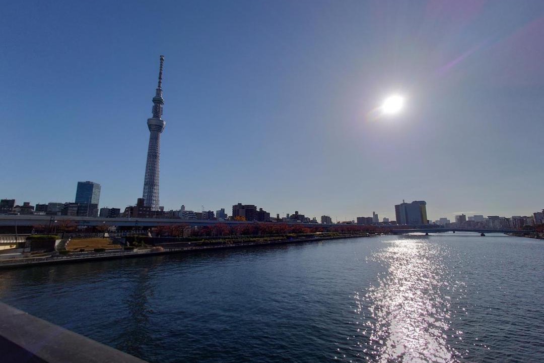 Photo of Others in Sumida
