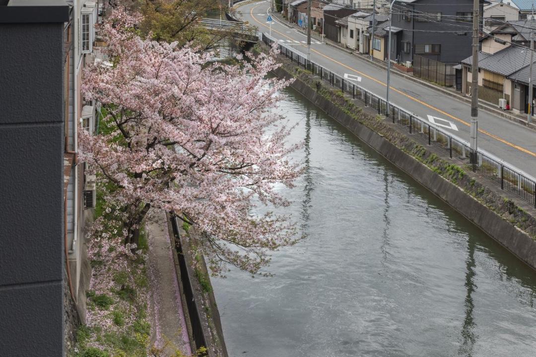 Photo of Others in Higashiyama