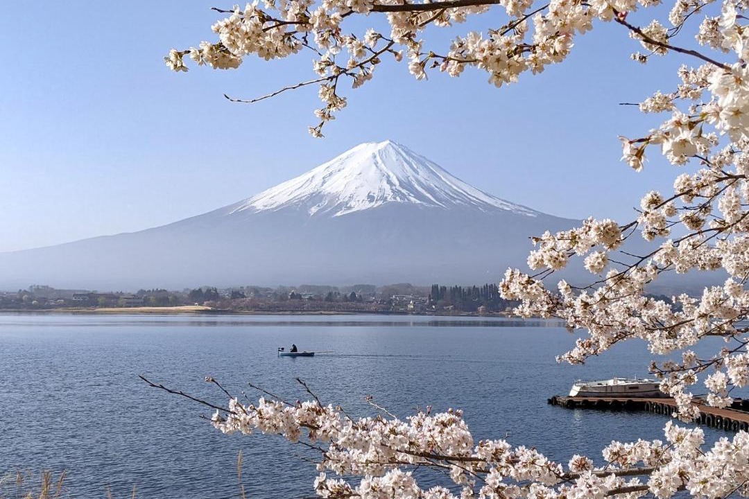 Photo of Others in Oishi