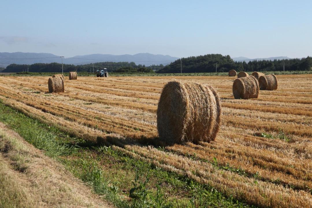 Photo of Others in Kitami