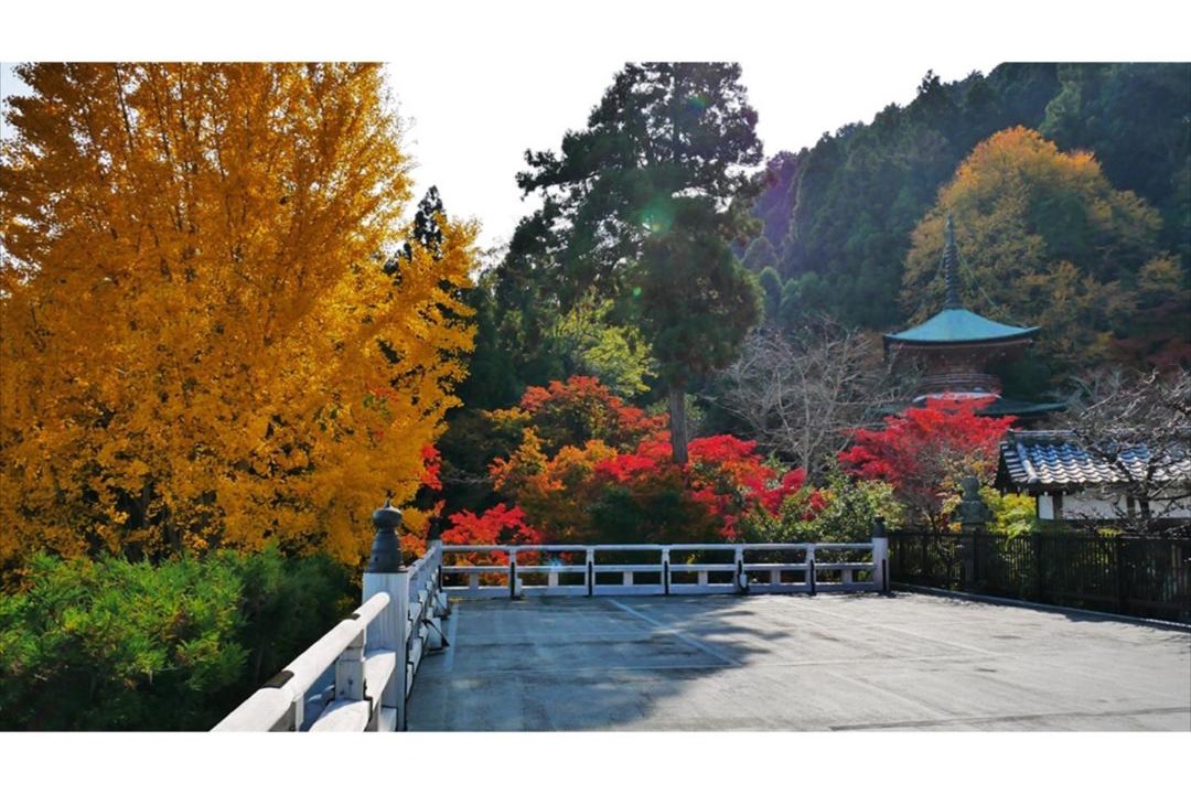 Photo of Others in Arashiyama