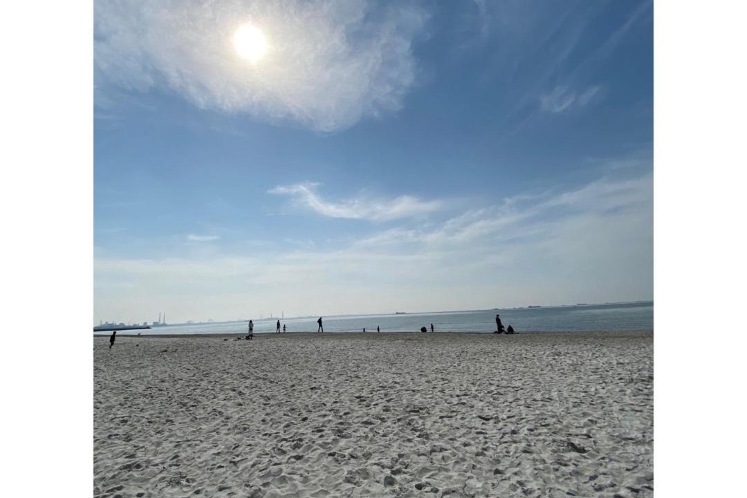 Photo of Others in Chiba