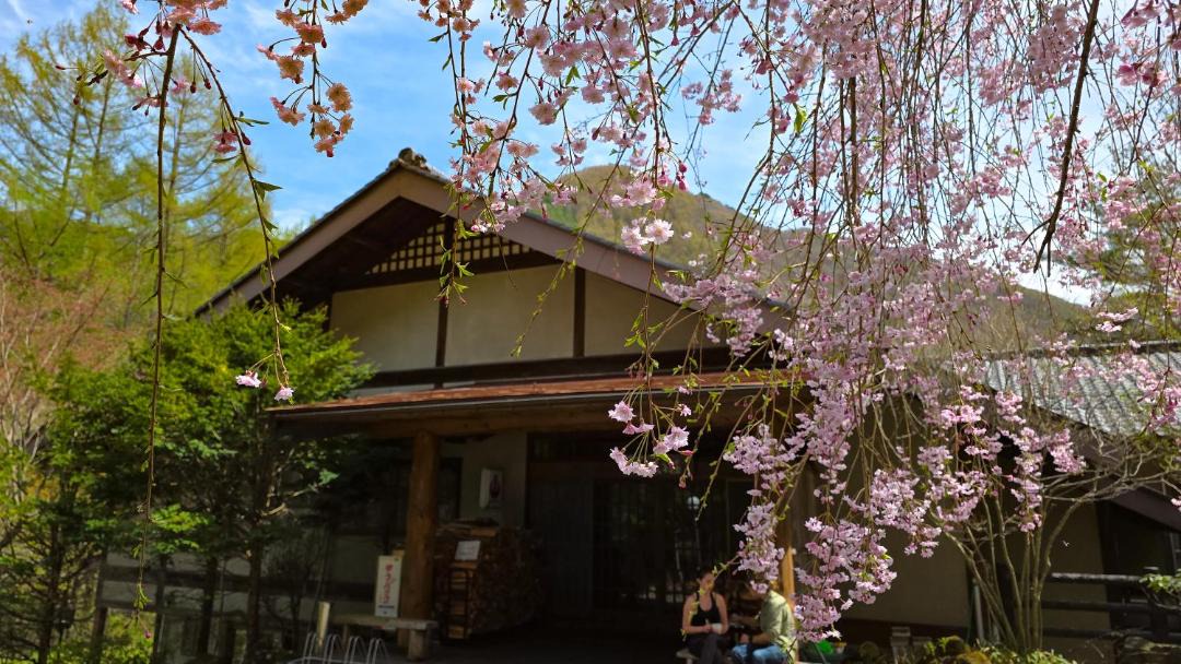Photo of Others in Narai-juku