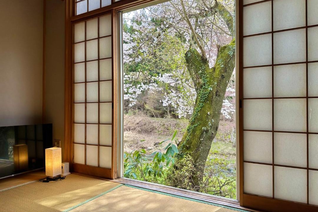 Photo of Others in Katashina