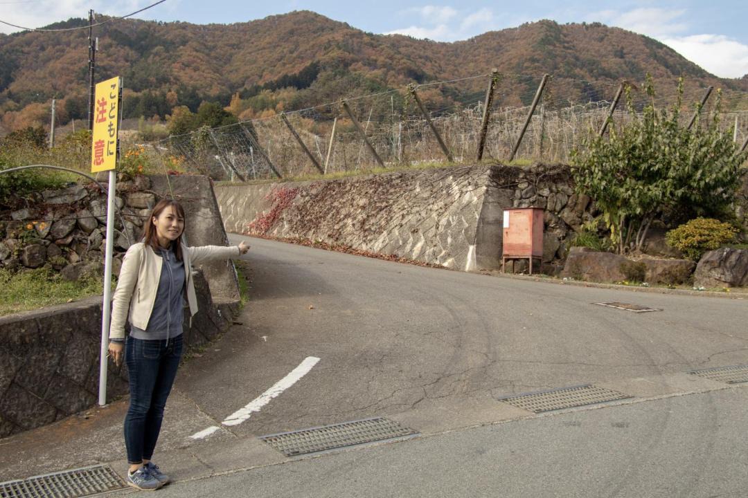 Photo of Others in Koshu