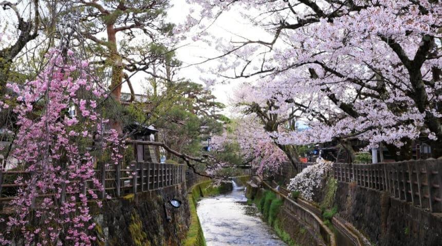 Photo of Others in Hida Takayama Onsen
