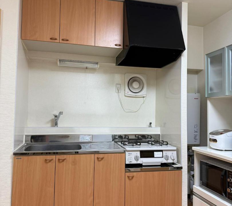 Photo of Kitchen in Nagoya City Centre