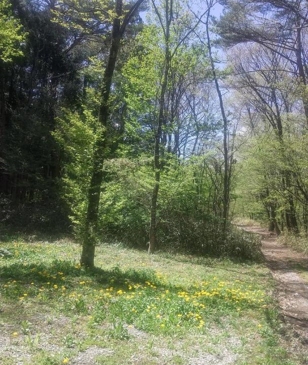Photo of Outdoor in Nasushiobara