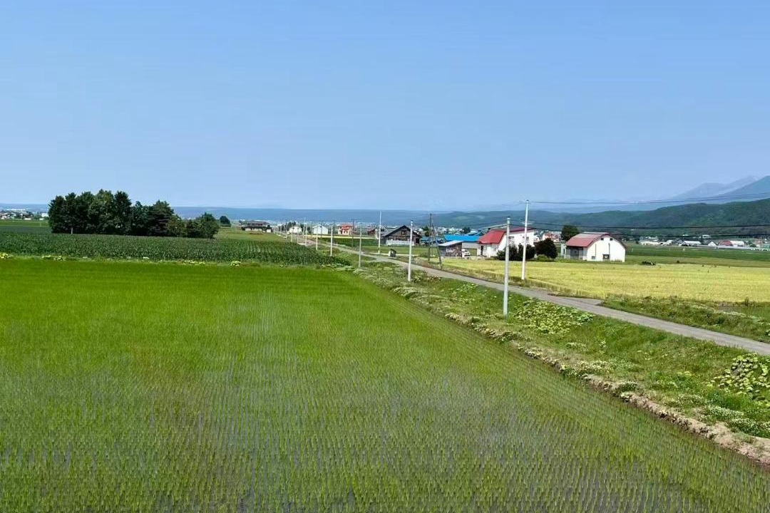 Photo of Others in Furano