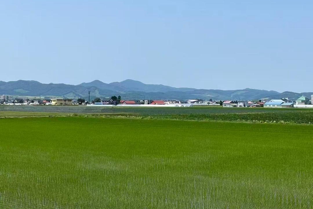 Photo of Others in Furano