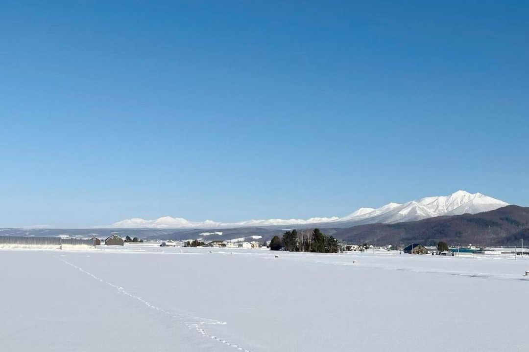 Photo of Others in Furano