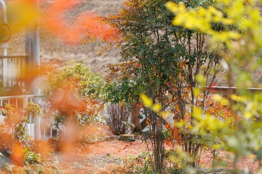 Photo of Others in Mitake