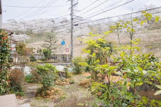 Photo of Others in Mitake