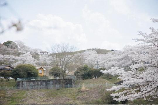 Photo of Others in Mitake