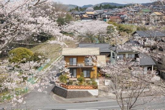 Photo of Others in Mitake