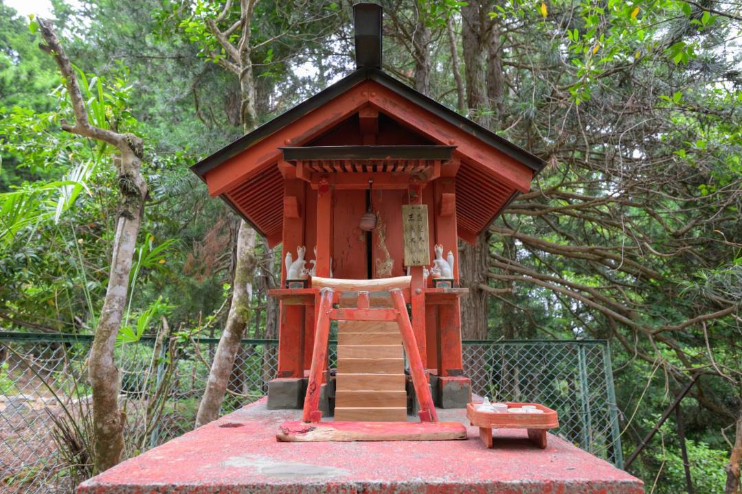 Photo of Others in Koya