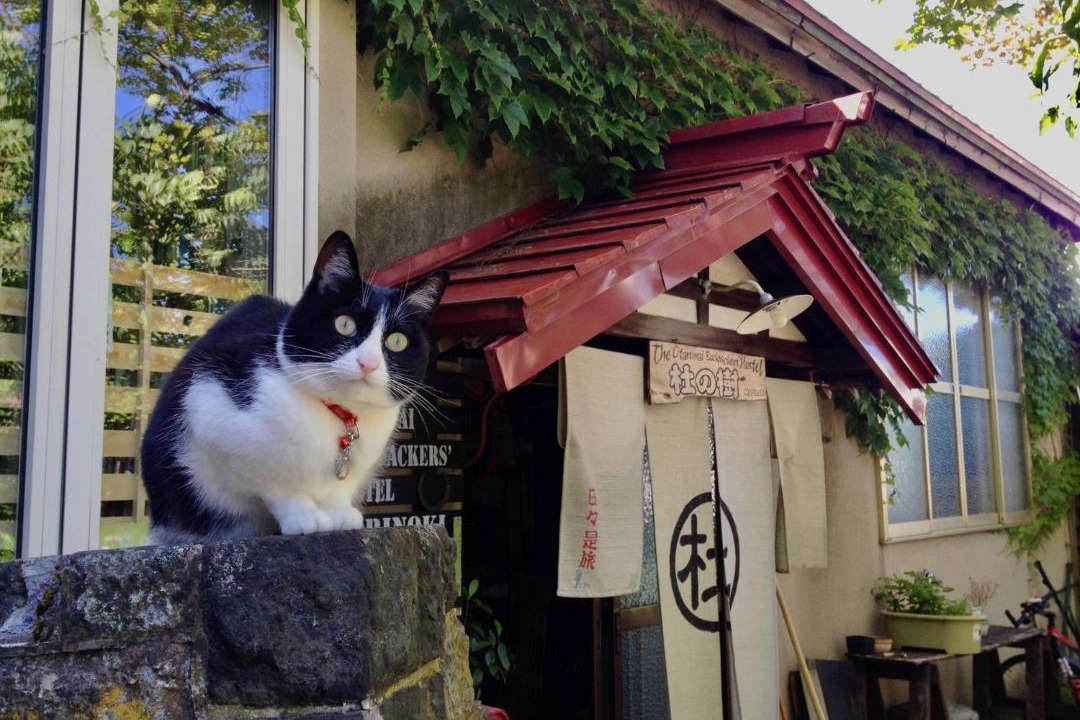 Photo of Others in Otaru