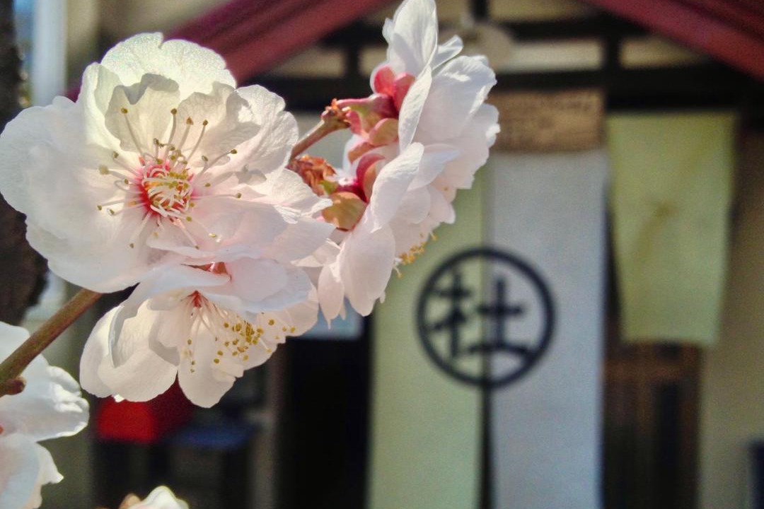 Photo of Others in Otaru