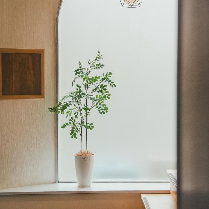 Photo of Others in Tsuruhashi