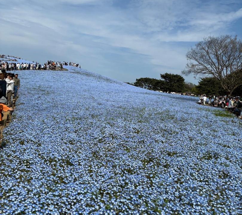 Photo of Others in Mito