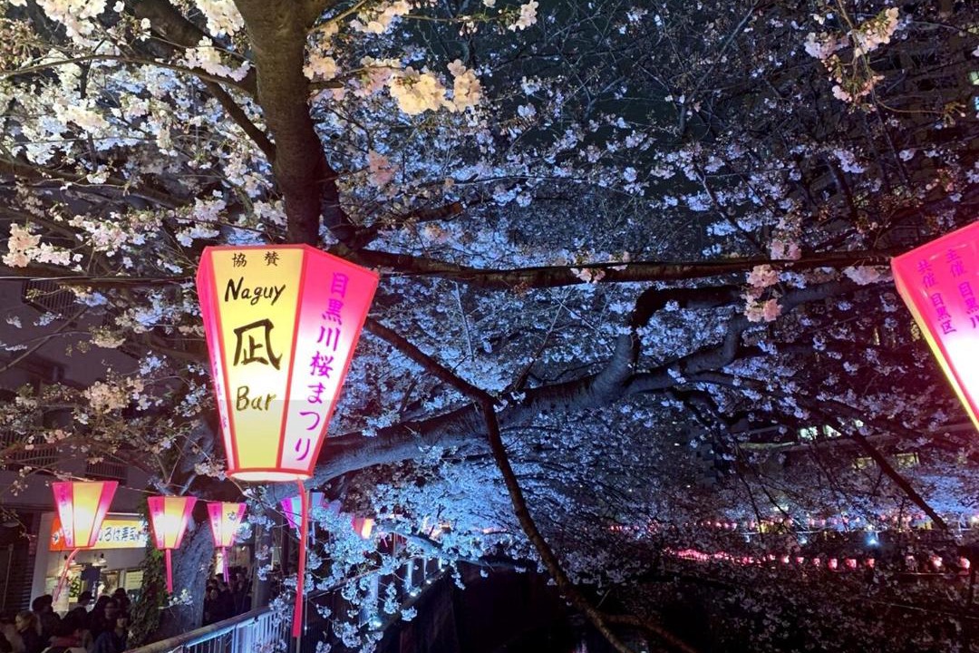 Photo of Others in Ikejiri