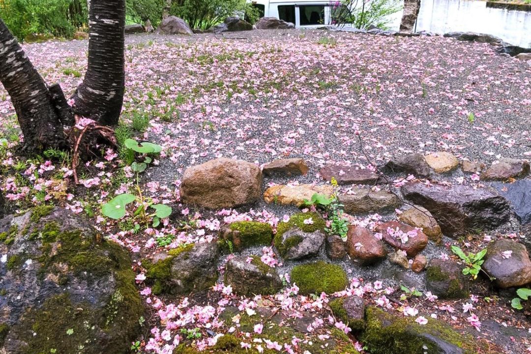 Photo of Others in Kitaazumi-gun