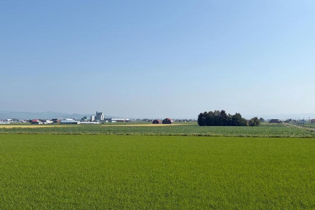 Photo of Others in Furano
